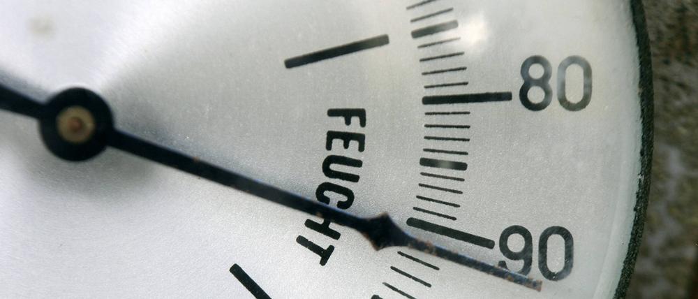 
Hygrometer. Mit den kleinen Messgeräten lassen sich zuverlässig Raumtemperatur und Luftfeuchtigkeit messen. 