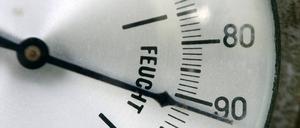 Hygrometer. Mit den kleinen Messgeräten lassen sich zuverlässig Raumtemperatur und Luftfeuchtigkeit messen.