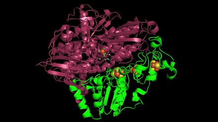 Simulation des Enzyms Hydrogenase.