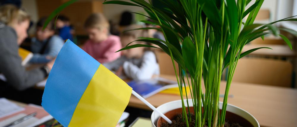 Grundschüler aus der Ukraine sitzen in einem Klassenzimmer. In Sachsen-Anhalt sind bislang 76 Ankunftsklassen für geflüchtete ukrainische Kinder und Jugendliche gebildet worden.