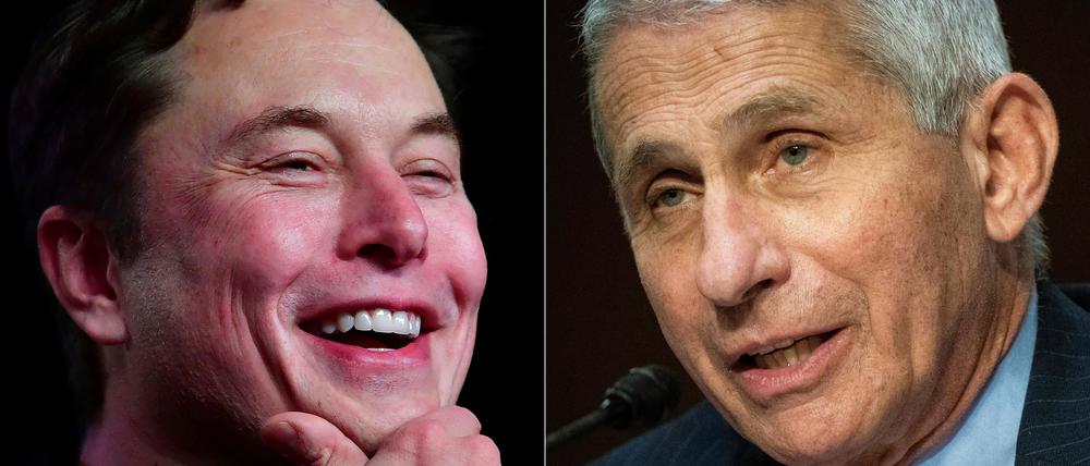 Die Bild-Kombo zeigt Elon Musk und Anthony Fauci (v.l.).