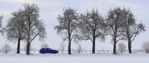 Verschneite Allee in Brandenburg.