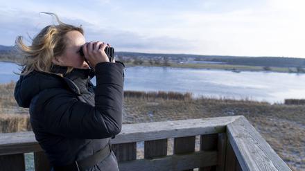 Bundesumweltministerin Steffi Lemke auf Besuch im Naturschutzpark Unteres Odertal.