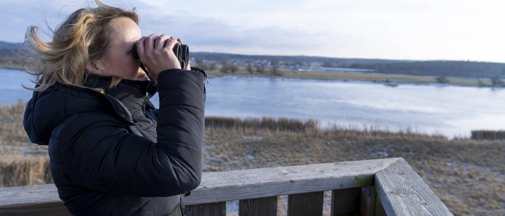 Bundesumweltministerin Steffi Lemke auf Besuch im Naturschutzpark Unteres Odertal.