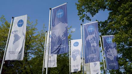 Die Flaggen des DAAD im neuen, 2022 gültigen Design.