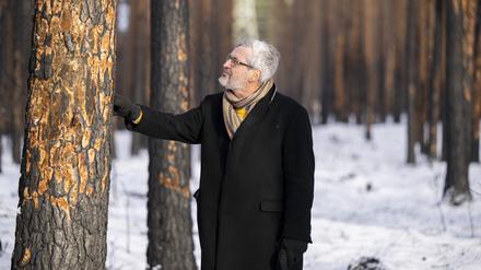 12.12.2022, Brandenburg, Beelitz: Axel Vogel (Bündnis 90/Die Grünen), Forstminister von Brandenburg, betrachtet bei einem vor Ort Termin durch einen Brand geschädigte Kiefern im Landeswald Seddin. Laut dem aktuellen Waldzustandsbericht leidet der Wald unter Trockenheit und Klimawandel. Foto: Monika Skolimowska/dpa +++ dpa-Bildfunk +++