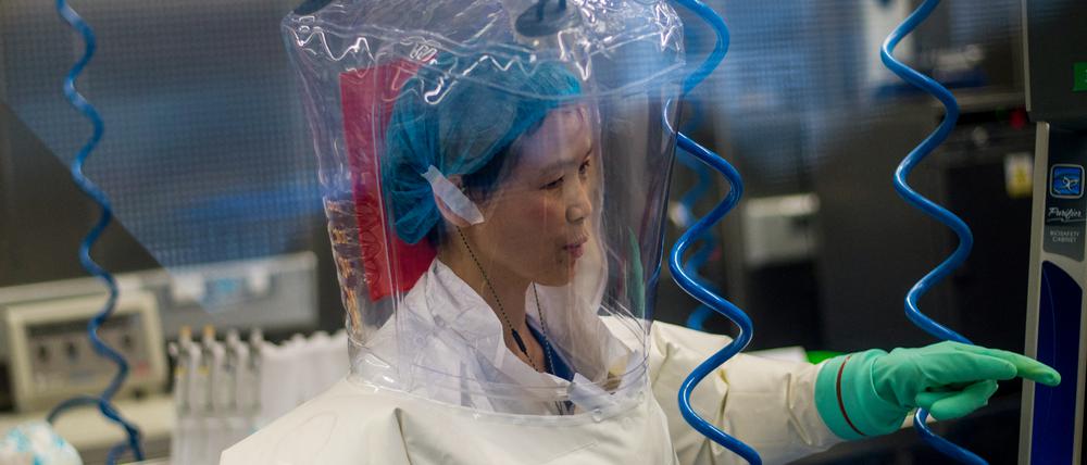 Gehen Kooperationen mit chinesischen Wissenschaftlern, etwa dem Virusforschungsinstitut in Wuhan, zu weit?