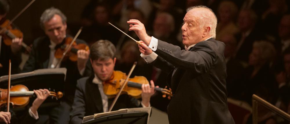 Maestro Barenboim in seinem Element