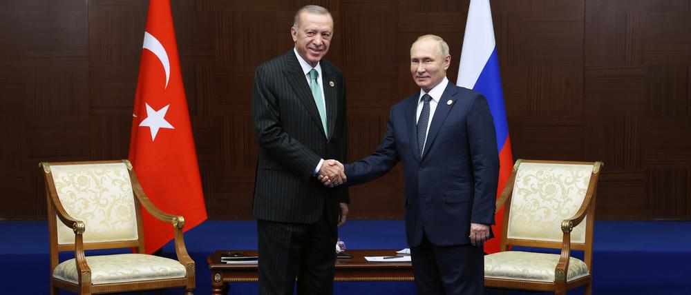 Zwei Alphatiere: Der türkische Präsident Erdogan gefällt sich in der Rolle des Vermittlers gegenüber Wladimir Putin. 