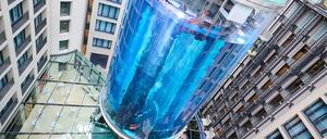 ARCHIV - 01.06.2022, Berlin: Der AquaDom im SEA LIFE nach Sanierungsarbeiten. Das riesige Aquarium in einem Hotel ist in der Nacht zum 16.12.2022 leck geschlagen. Wasser strömte dabei bis auf die Straße. Foto: Annette Riedl/dpa +++ dpa-Bildfunk +++