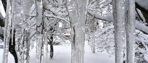 Die Ereignisse in der Stratosphäre machen längere Frostperioden möglich.