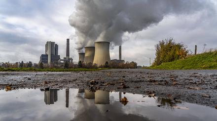 Zwischenlösung. Der Betrieb von Kohlekraftwerken wie Weisweiler waren in diesem Jahr wieder gefragt.