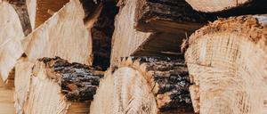 Holz ist in Zeiten hoher Energiepreise besonders gefragt.