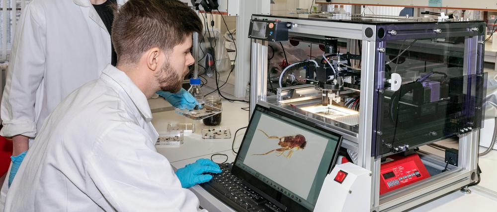 Wissenschaftliche Mitarbeiter:innen des MfN arbeiten am Diversity Scanner.
