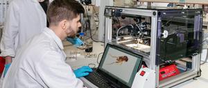 Wissenschaftliche Mitarbeiter:innen des MfN arbeiten am Diversity Scanner.