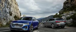 Links der Sportback, rechts der SUV. Der neue Frontgrill mit automatisch verschließbaren Lamellen soll den Luftstrom lenken und zugleich den Windwiderstand verringern.