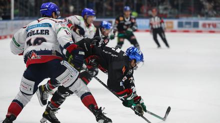 Beim ersten Aufeinandertreffen siegten die Eisbären mit 3:2 in Augsburg.