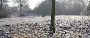 In Potsdam bleibt es winterlich.