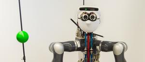Der Roboter „Apollo“ im Tübinger Labor des Max-Planck-Instituts für intelligente Systeme (Archivbild von 2015). 