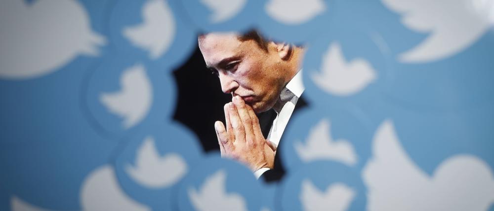 Für 44 Milliarden Dollar hat Elon Musk im Oktober Twitter gekauft. 