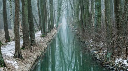 Märchenhaft: Winterliche Spreewald-Fließe.