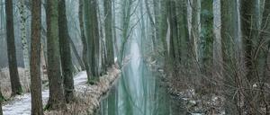 Märchenhaft: Winterliche Spreewald-Fließe.