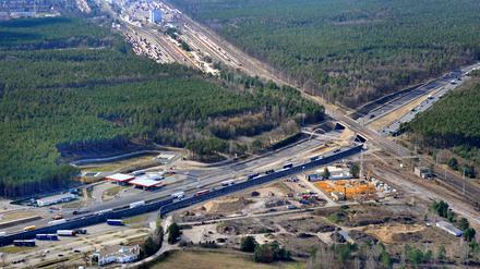 Bäume sollen weichen: die Wirtschaftsförderung Brandenburg prüft ein 300 Hektar großes Areal als neuen Gewerbestandort