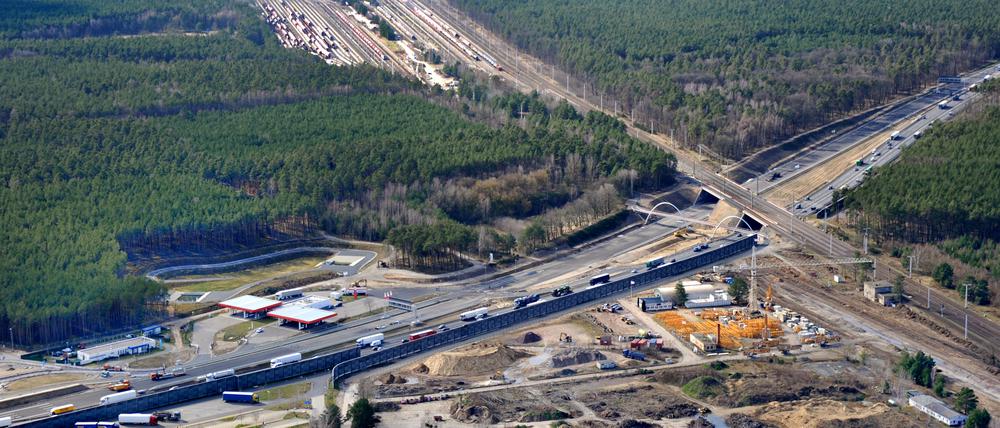 Bäume sollen weichen: die Wirtschaftsförderung Brandenburg prüft ein 300 Hektar großes Areal als neuen Gewerbestandort