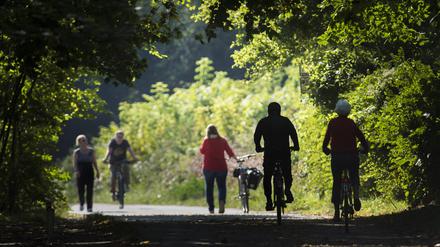 Radfahrer in einem Berliner Park.