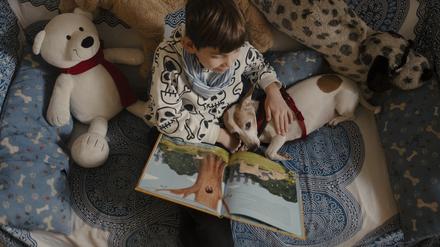 Ein Kind in der Friedenauer Gemeinschaftsschule liest einem Therapiehund vor.