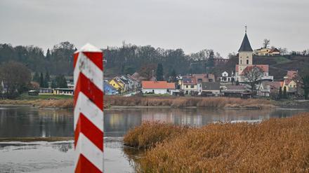 Trotz des großen Fischsterbens im Sommer hält Polen am geplanten Oder-Ausbau fest – zum Unmut deutscher Umweltpolitiker.