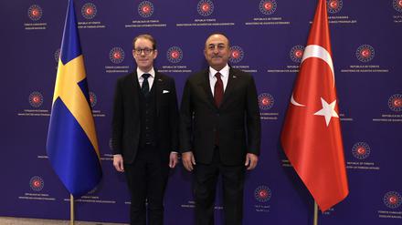 Der schwedische Außenminister Tobias Billström mit seinem türkischen Kollegen Mevlüt Cavusoglu