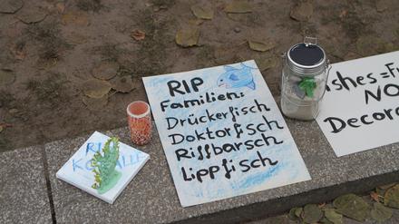 Protestschilder und Kerzen nach der Aquadom-Katastrophe.