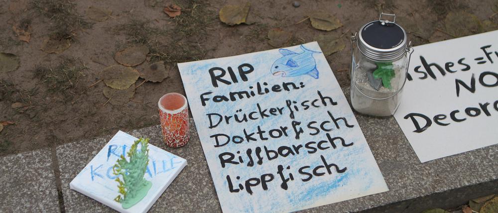 Protestschilder und Kerzen nach der Aquadom-Katastrophe.
