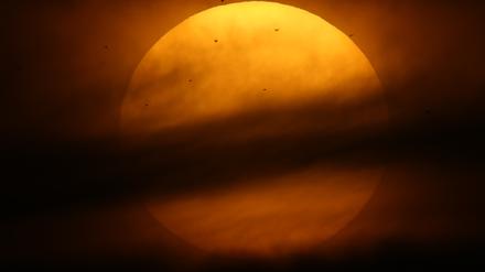 Ohne die Strahlen der Sonne gäbe es auf der Erde kein Leben, wie wir es kennen. 