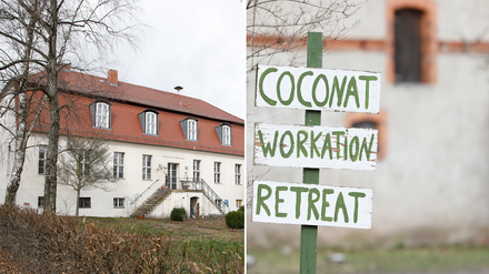 Coconat
