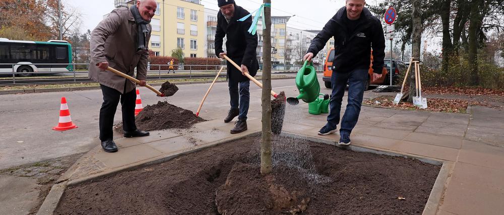 In Potsdam gibt es immer einmal wieder Baumpflanzaktionen (Symbolbild).