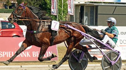 Für den neuen Berliner Meister Thorsten Tietz – hier mit seinem Derby-Sieger Days of Thunder – verlief die Trabrennsaison 2022 wie nahezu perfekt.