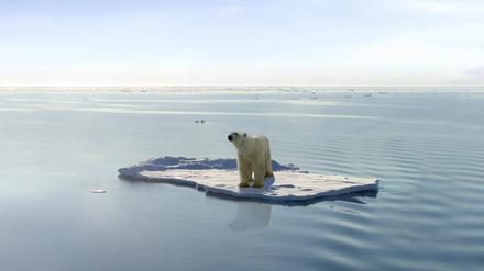 Die Erwärmung der Ozeane betrifft auch die Polarmeere, in denen aktuell das Meereis stärker schmilzt als bisher üblich. 