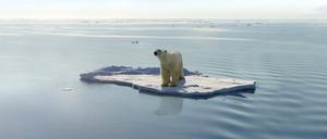 Die Erwärmung der Ozeane betrifft auch die Polarmeere, in denen aktuell das Meereis stärker schmilzt als bisher üblich. 