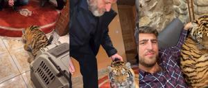Tiger beim Remmo-Clan. Die öffentliche Pose gehört zum Geschäft.