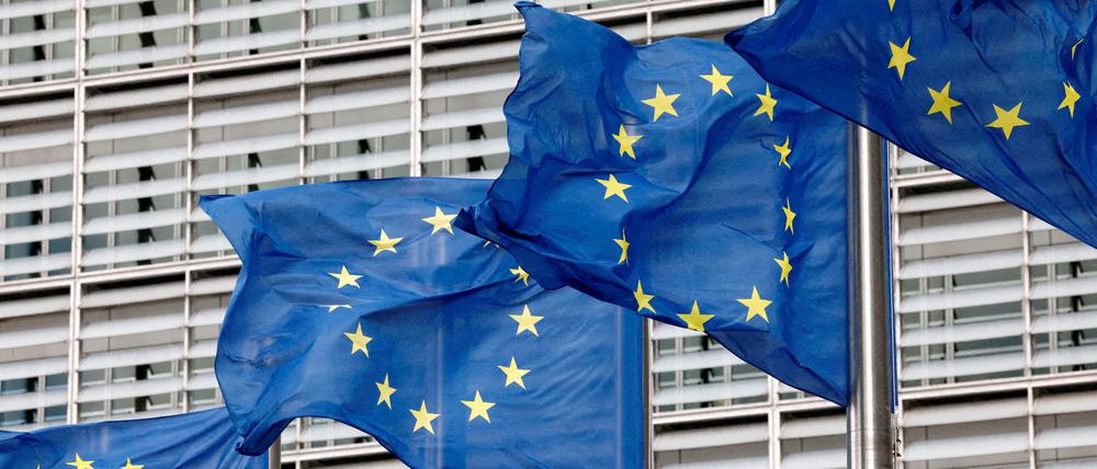 Die EU-Kommission geht mit ambitionierten Vorhaben in das neue Jahr 2023.