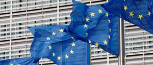 Die EU-Kommission geht mit ambitionierten Vorhaben in das neue Jahr 2023.