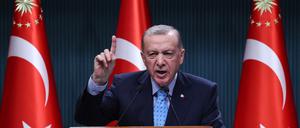 Erdogan plant erneut Ende Januar einen Besuch in Deutschland im Wahlkampf.  