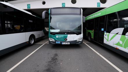 Ein Bus des Verkehrsbetriebs in Potsdam.