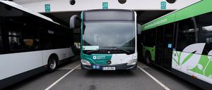 Busse sind da, aber oft fehlen die Fahrer.