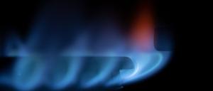Zahlreiche blau-schimmernde Gas-Flämmchen sind an einem Gasherd zu sehen (Symbolbild).