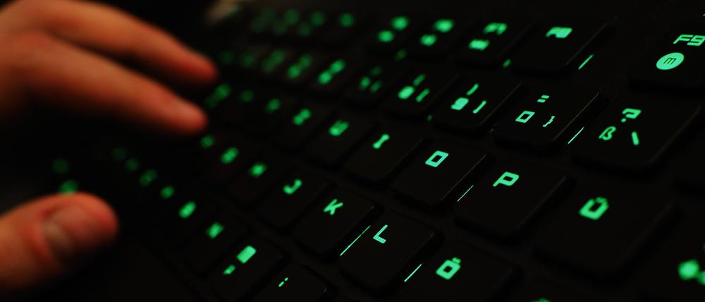 Bei früheren Lükex-Übungen war beispielsweise das Szenario einer Pandemie durchgespielt worden.