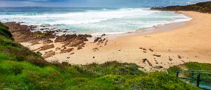 Die Retter konnten nur noch den Tod des Vaters feststellen (Symbolbild).