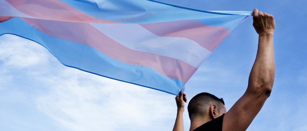 Die Fahne der trans Community.